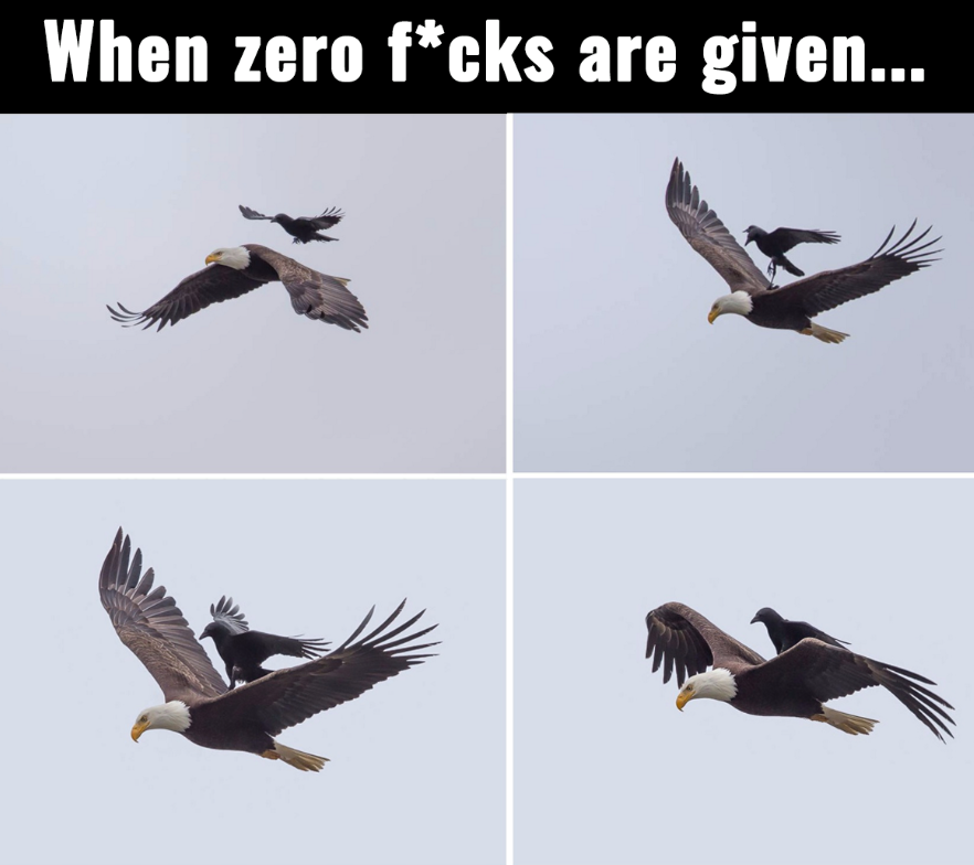 zz