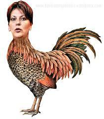 Această imagine are atributul alt gol; numele fișierului este wq-1.jpg