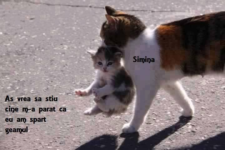 Această imagine are atributul alt gol; numele fișierului este ew.jpg