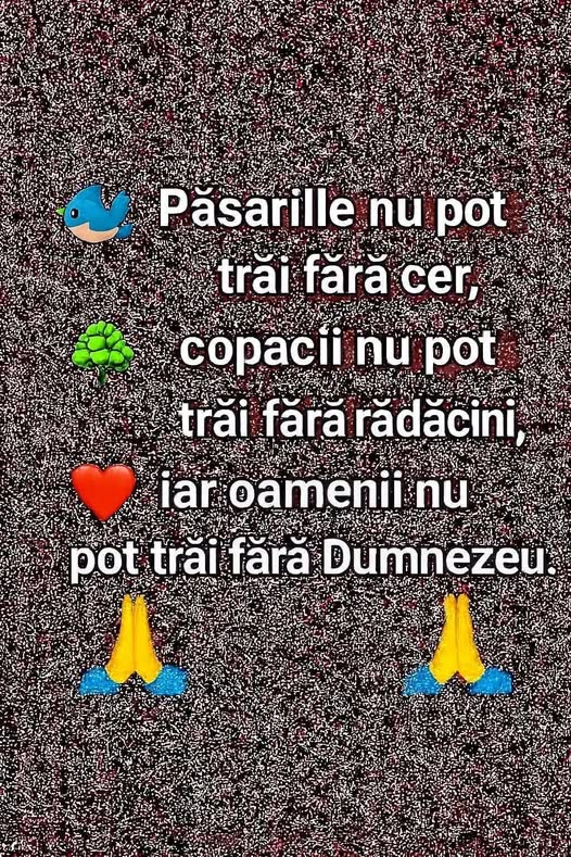 Această imagine are atributul alt gol; numele fișierului este 131.jpg