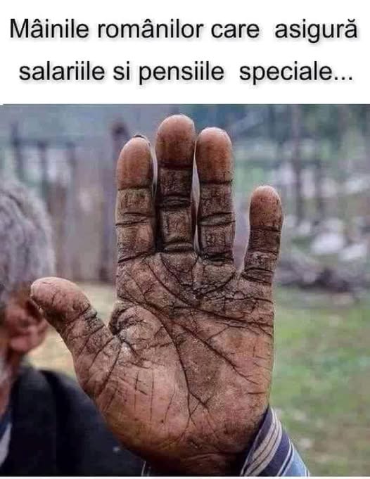 Această imagine are atributul alt gol; numele fișierului este 141.jpg