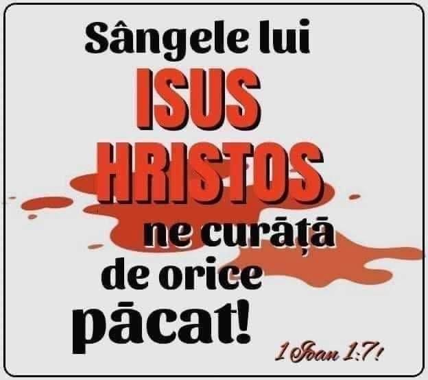 Această imagine are atributul alt gol; numele fișierului este 142.jpg