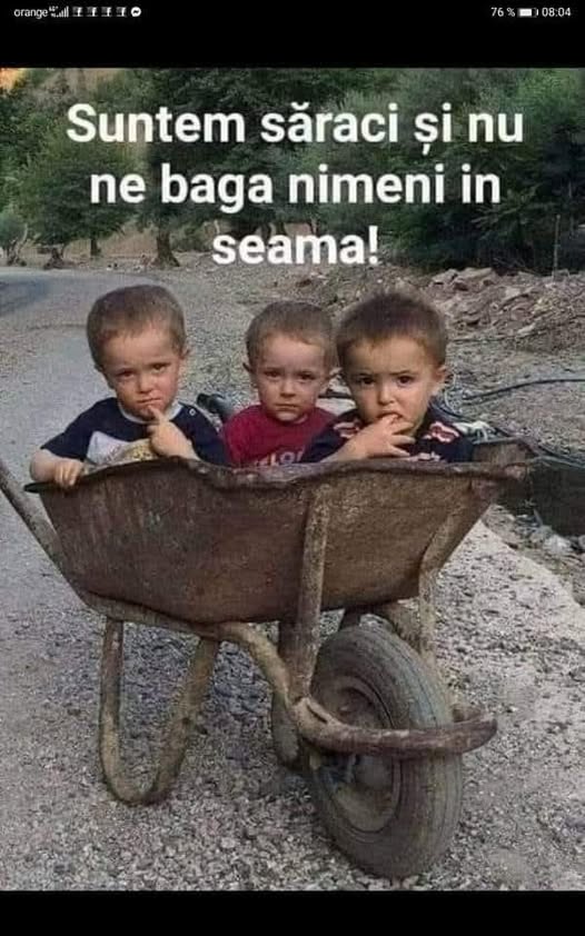 Această imagine are atributul alt gol; numele fișierului este 150.jpg