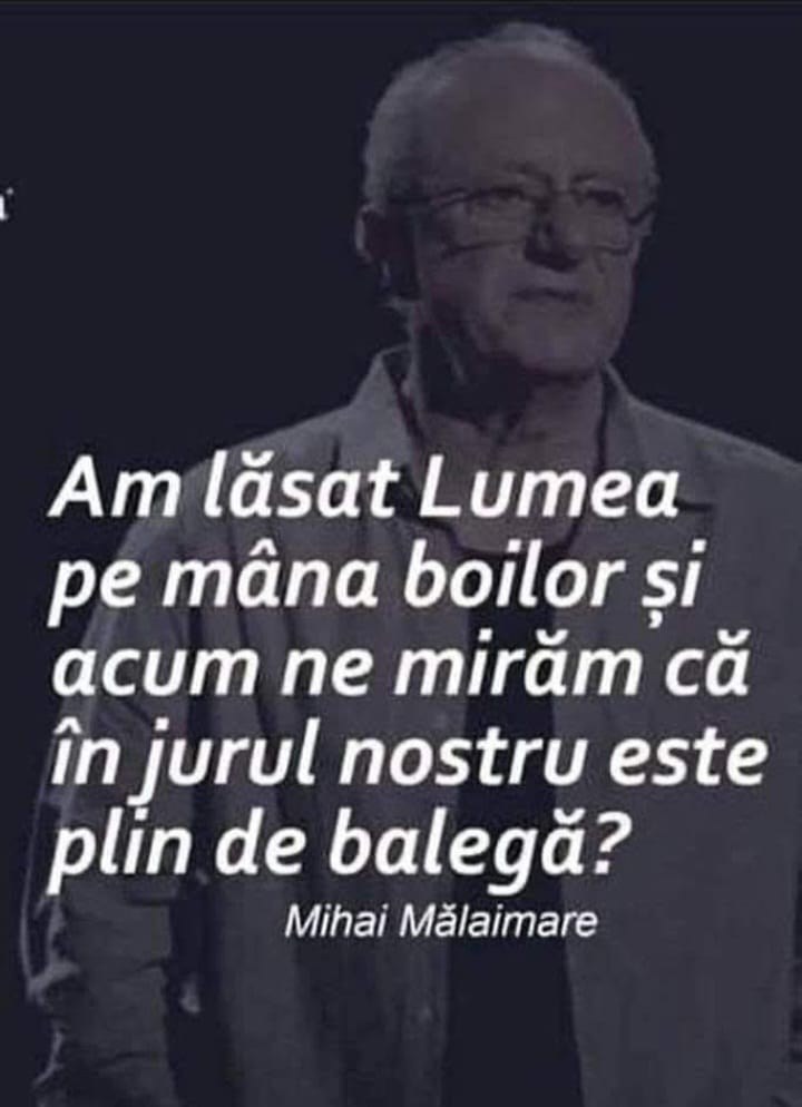 Această imagine are atributul alt gol; numele fișierului este 176.jpg