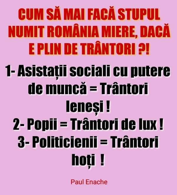 Această imagine are atributul alt gol; numele fișierului este jas.jpg