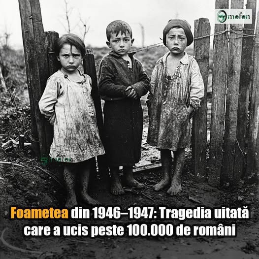 Această imagine are atributul alt gol; numele fișierului este jse.jpg