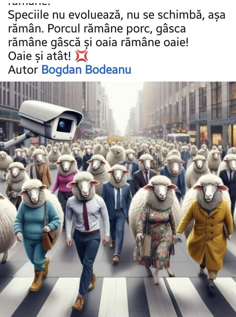 Această imagine are atributul alt gol; numele fișierului este 00-762x1024.jpg