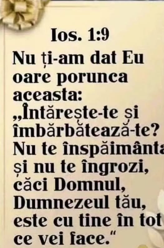 Această imagine are atributul alt gol; numele fișierului este 31.jpg