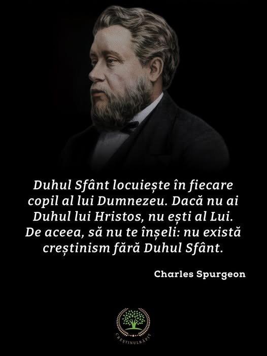 Această imagine are atributul alt gol; numele fișierului este r3.jpg