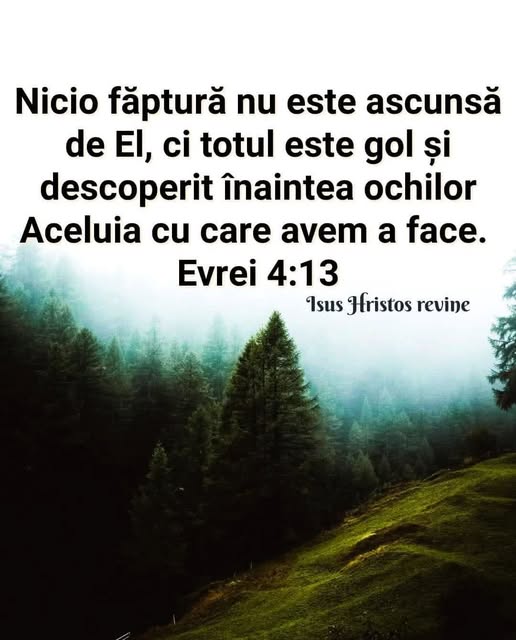 Această imagine are atributul alt gol; numele fișierului este 1377.jpg