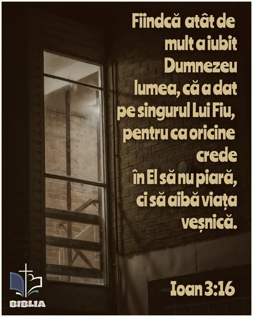 Această imagine are atributul alt gol; numele fișierului este 311.jpg