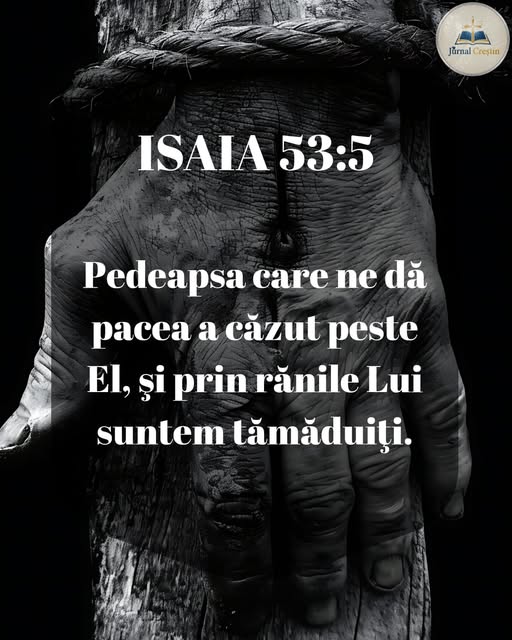 Această imagine are atributul alt gol; numele fișierului este 773.jpg