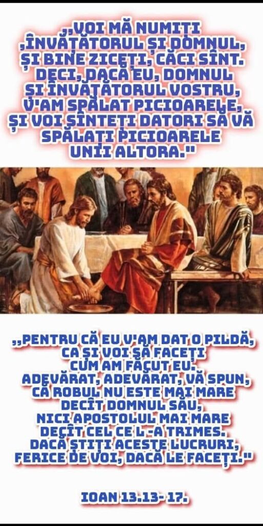 Această imagine are atributul alt gol; numele fișierului este p1-513x1024.jpg