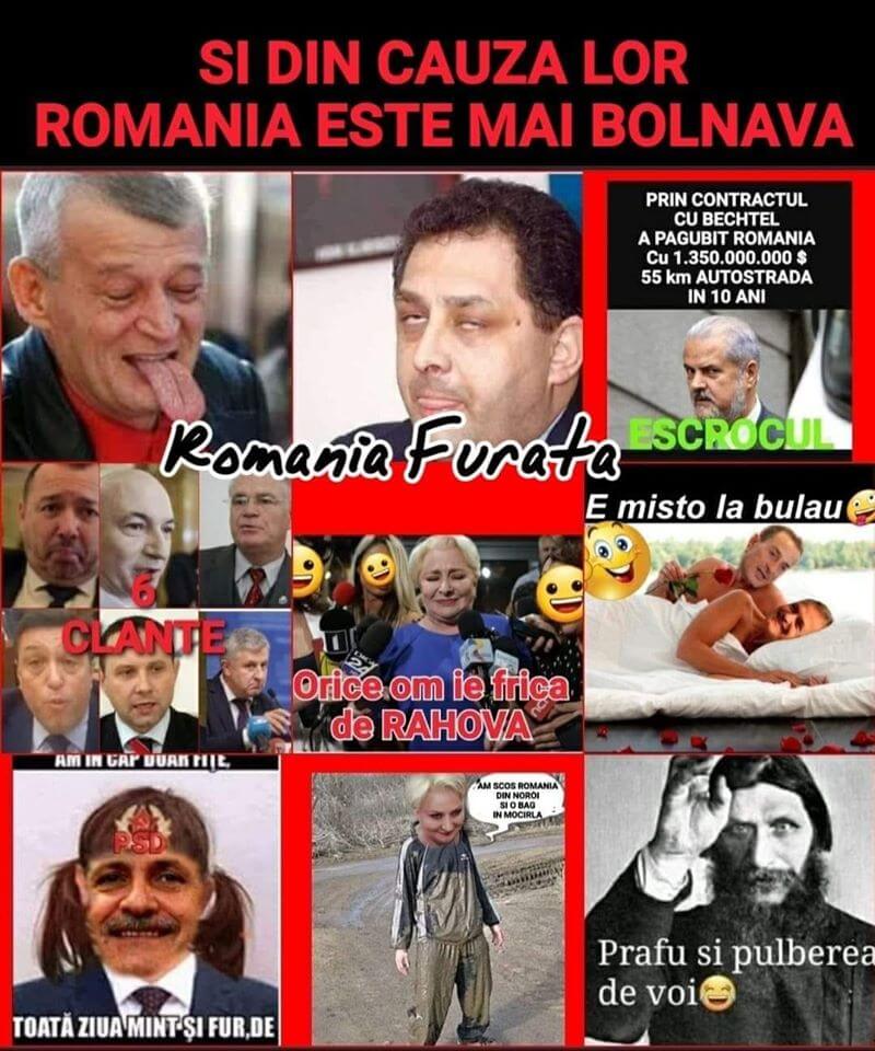 Această imagine are atributul alt gol; numele fișierului este p3.jpg