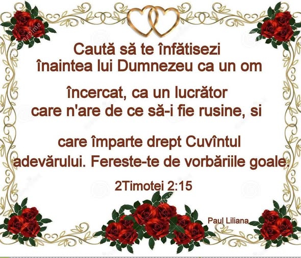Această imagine are atributul alt gol; numele fișierului este p7.jpg