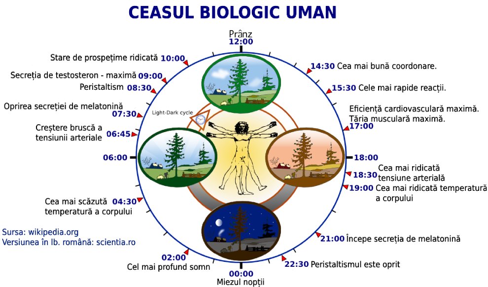 Această imagine are atributul alt gol; numele fișierului este p87.jpg